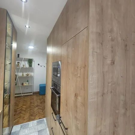 Nancy's Cozy Business Apartment Bezanija