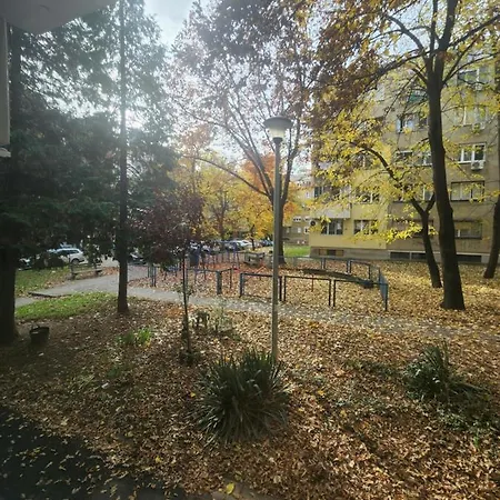 Nancy's Cozy Business