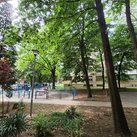 Nancy's Cozy Business